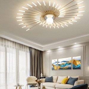 Modern Ceiling Light